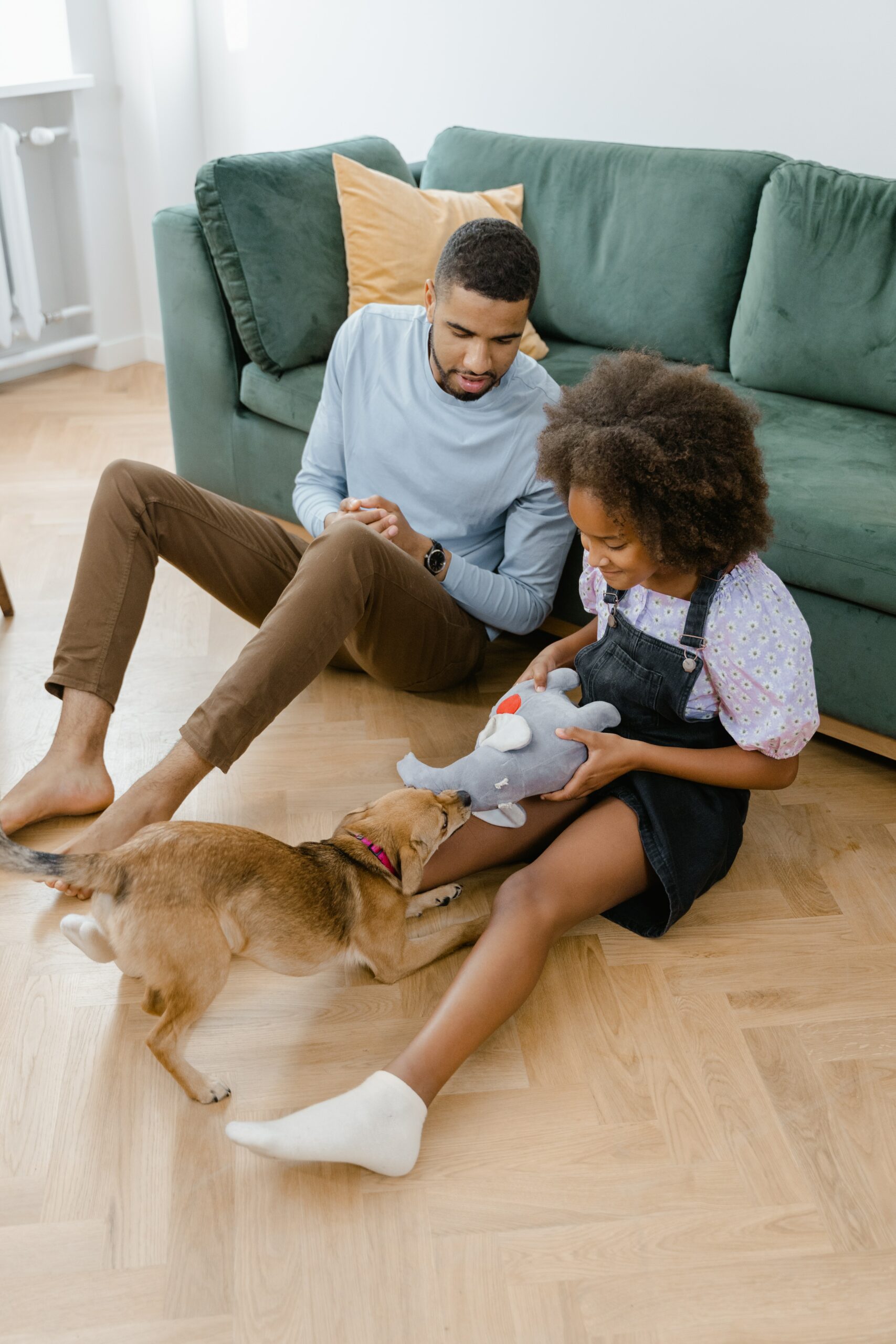 Enfant découvrant le jeu avec un chien, besoin important chez l'animal.