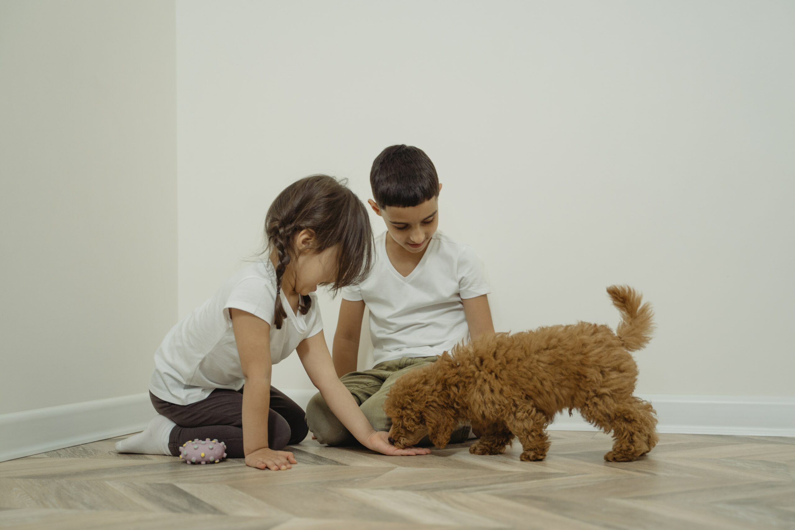 Deux enfants profitant de la compagnie d'un petit chien